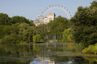 How Closeness to Parks Affects Property Value in London